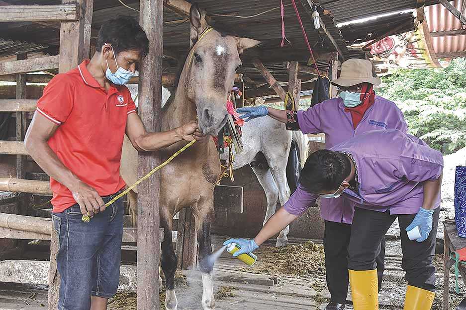 Pemeriksaan Kesehatan